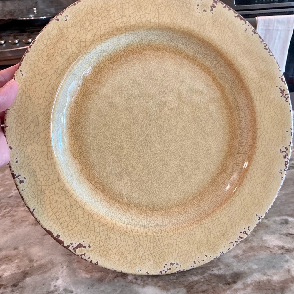 Second set of 4: Williams Sonoma Rustic Outdoor Melamine Dinner Plates